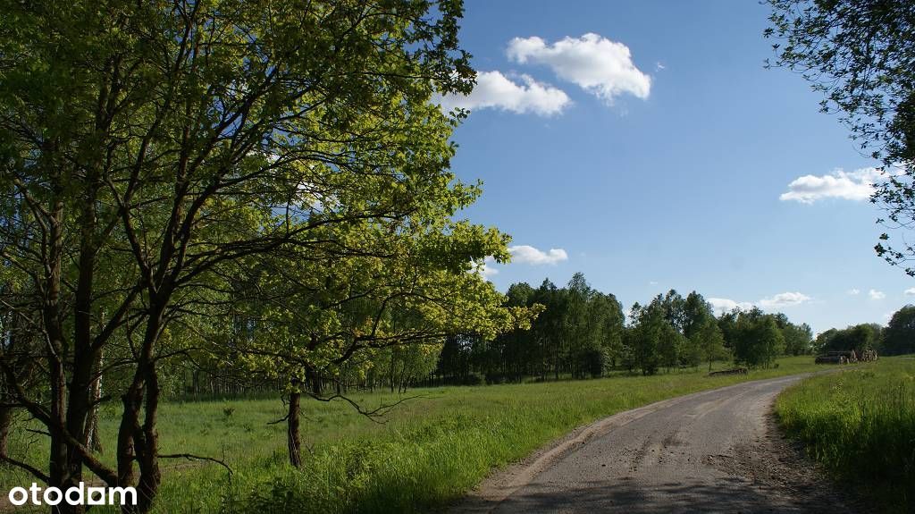 Działki budowlane nad jeziorem Ińsko - 30zł/m2