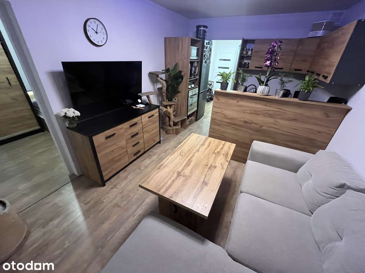 3 pok z balkonem po kapitalnym remoncie na I piętrze z wyposażeniem!-0