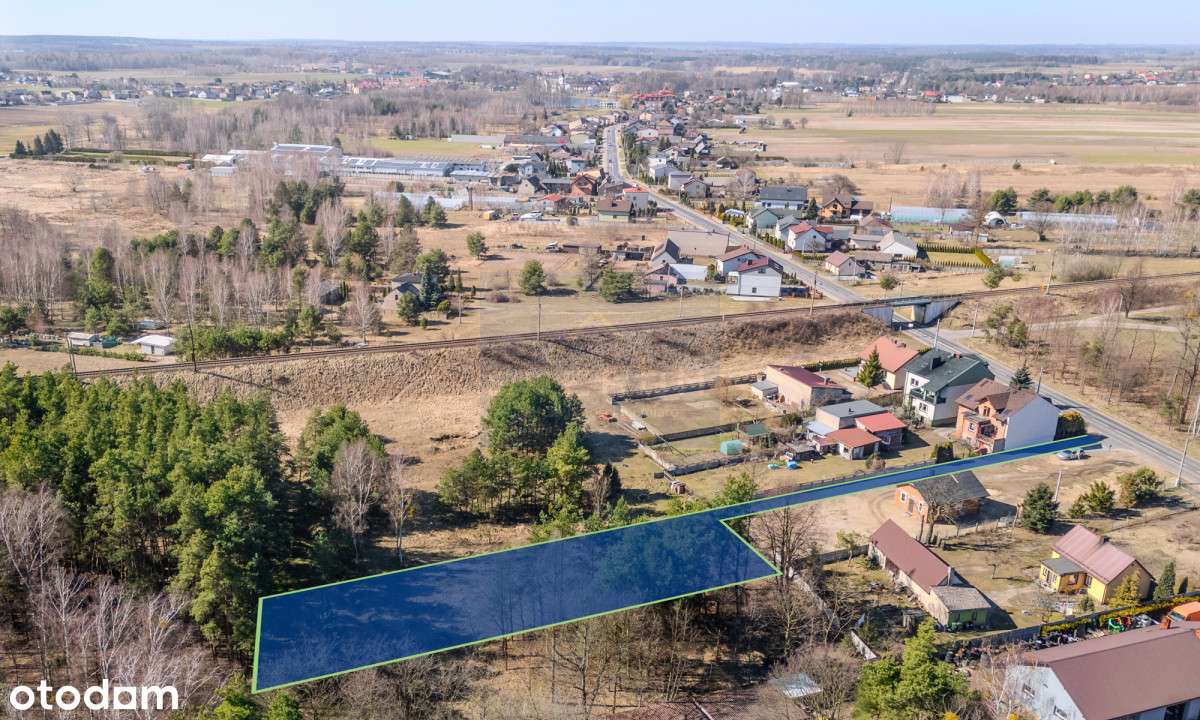 Działka mieszkaniowa 1517 m2/ Panki - Pełny obrazek: 5/6