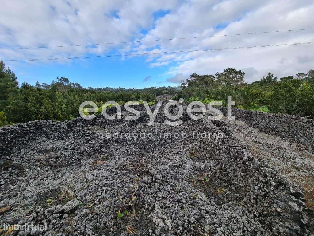 Terreno com 7000m2 na freguesia da Candelária, ilha do Pico - Grande imagem: 5/19