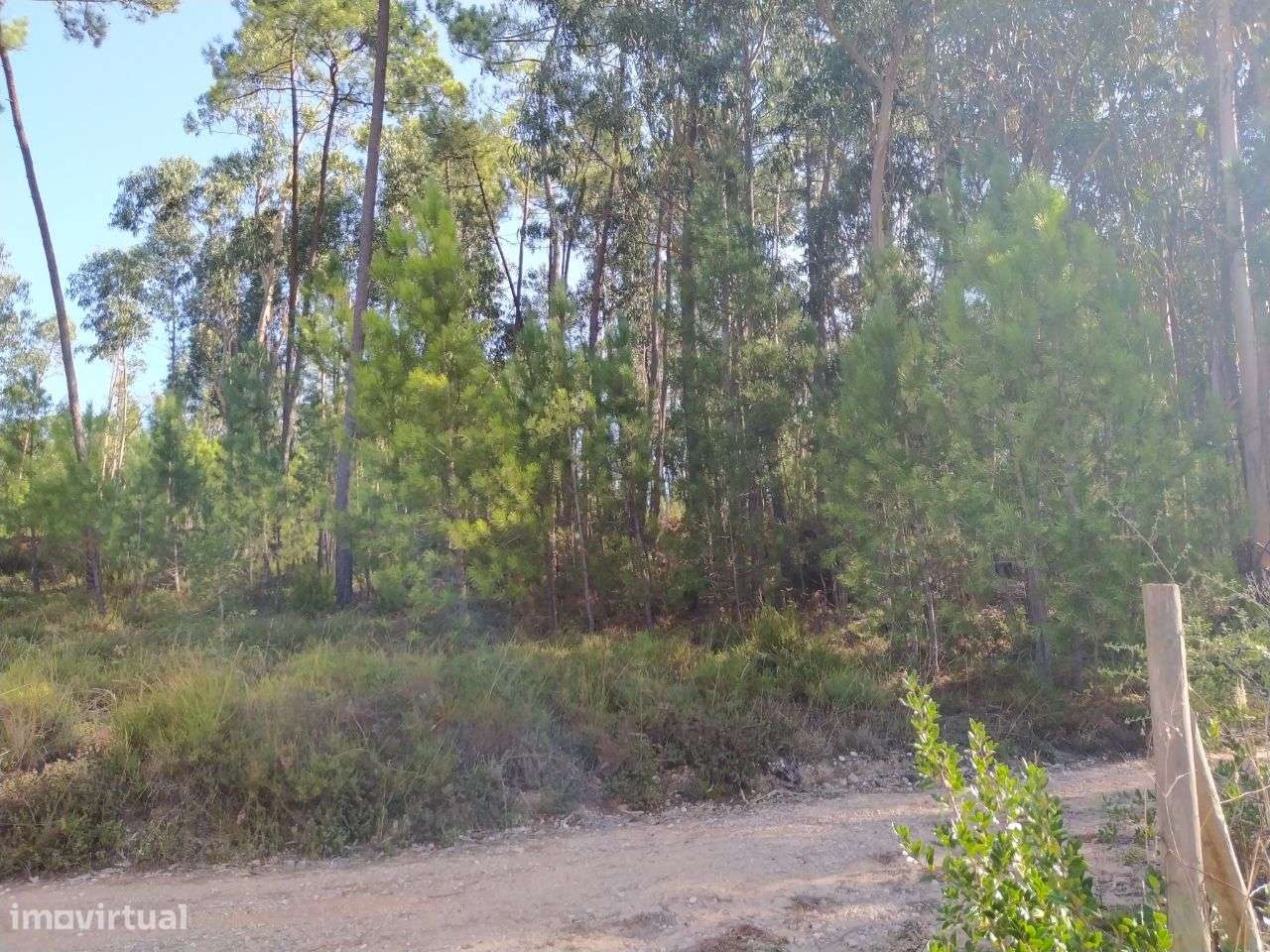 Terreno Para Construção - Grande imagem: 2/5