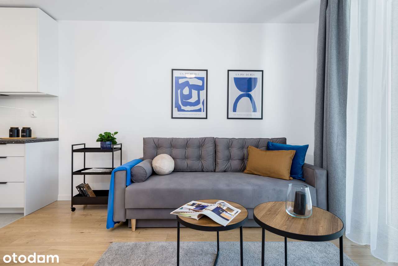 Comiesięczne dopłaty do czynszu | Pierwszy najemca | Zwierzolubne - Pełny obrazek: 3/14