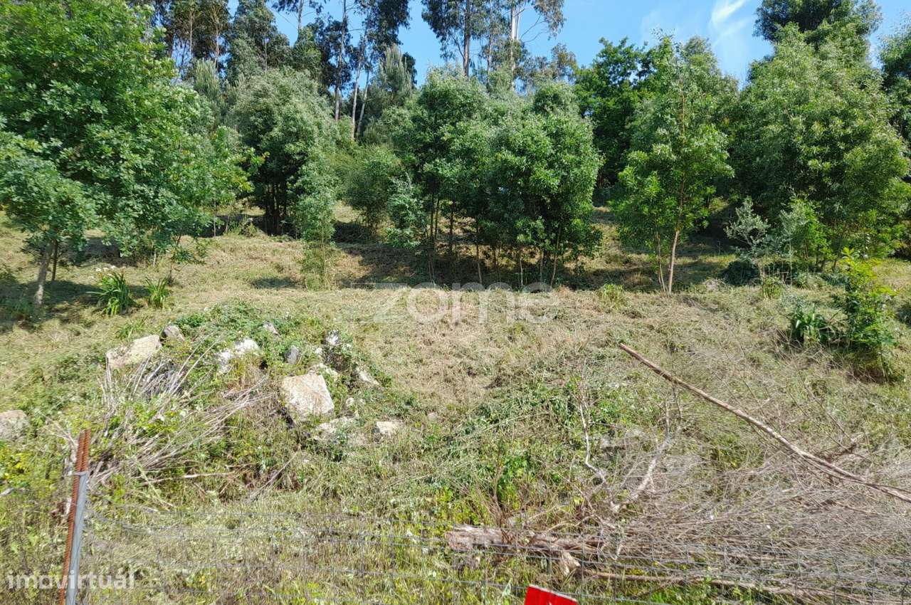 Terreno Urbanizável na Rua do Sá, Esporões-9