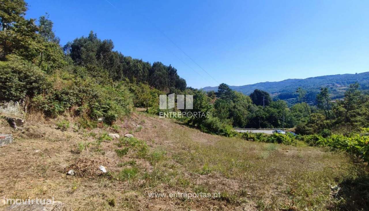 Venda Quinta com Moradia para reconstruir, Campelo, Baião - Grande imagem: 2/20