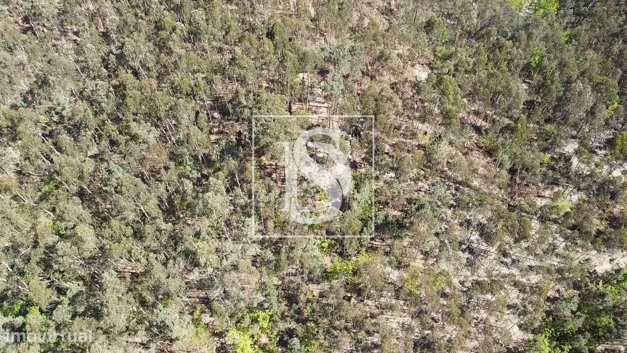 Terreno  Venda em Mosteiro,Vieira do Minho-22