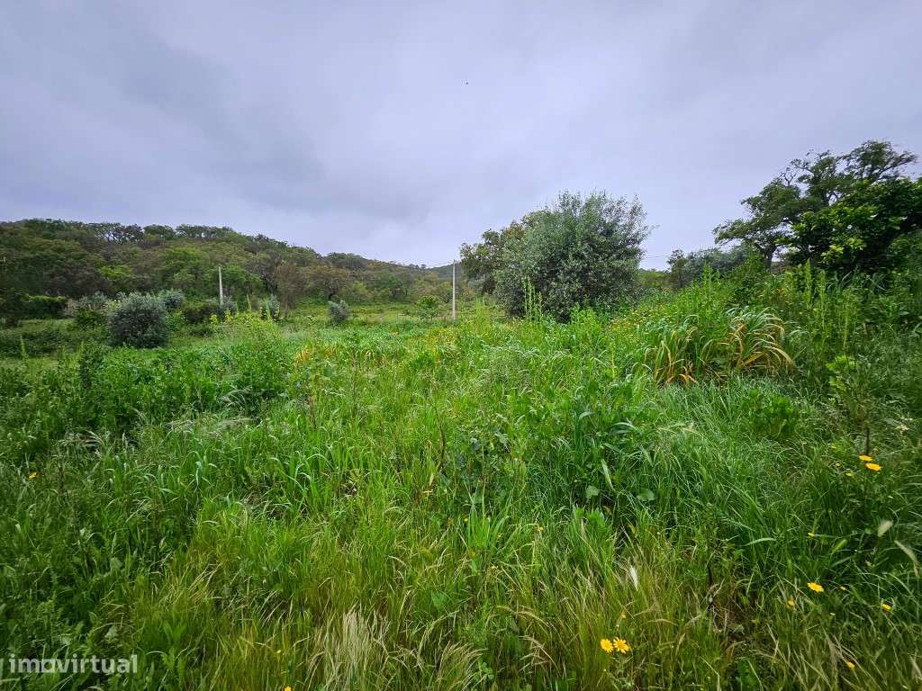 EXCLUSIVO! Quinta com Enorme Potencial no Coração do Alentejo Um Re...-32