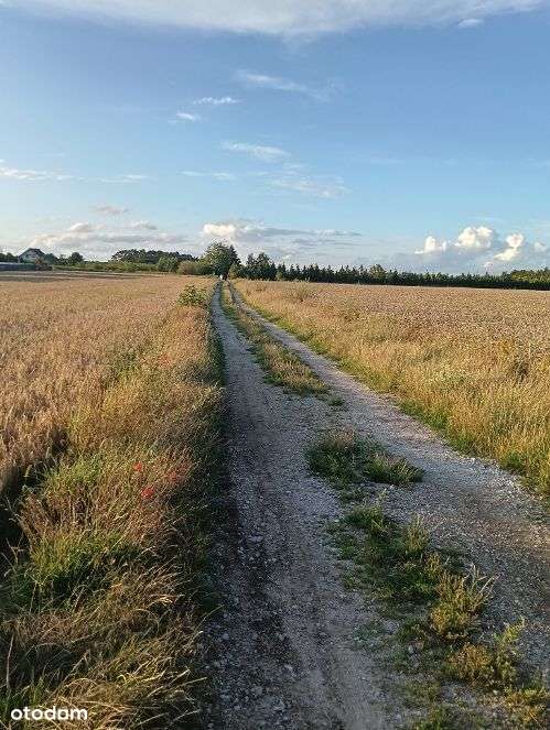 Atrakcyjna Działka W Kłodawie!-4