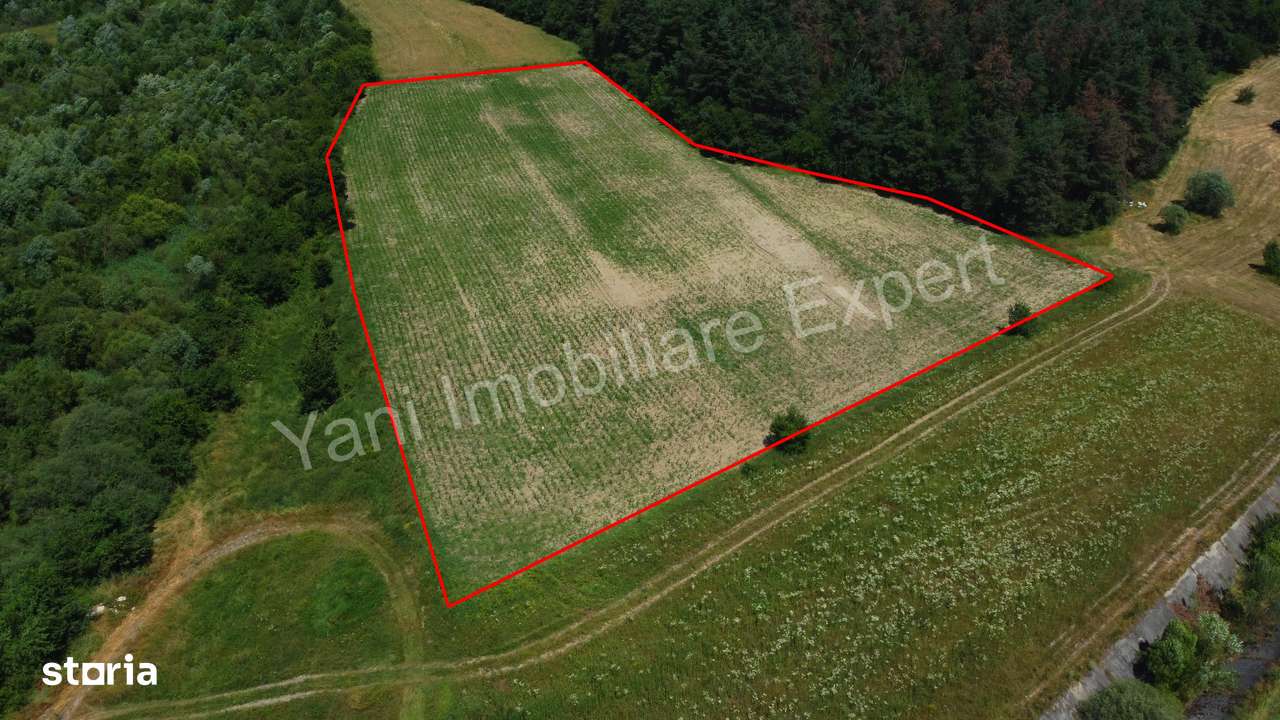 Teren de vânzare în comuna Băiculești, Judet Argeș ( 11.000 mp ) - Imagine principală: 4/12