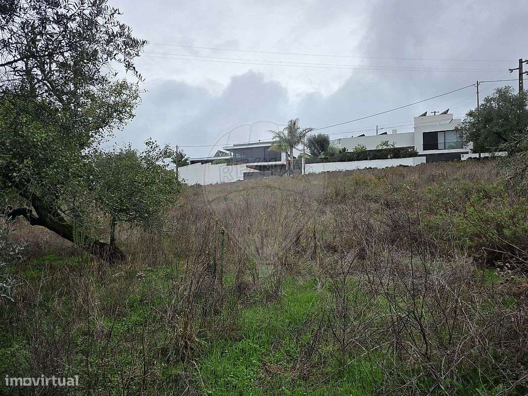 Terreno  para venda - Grande imagem: 4/13