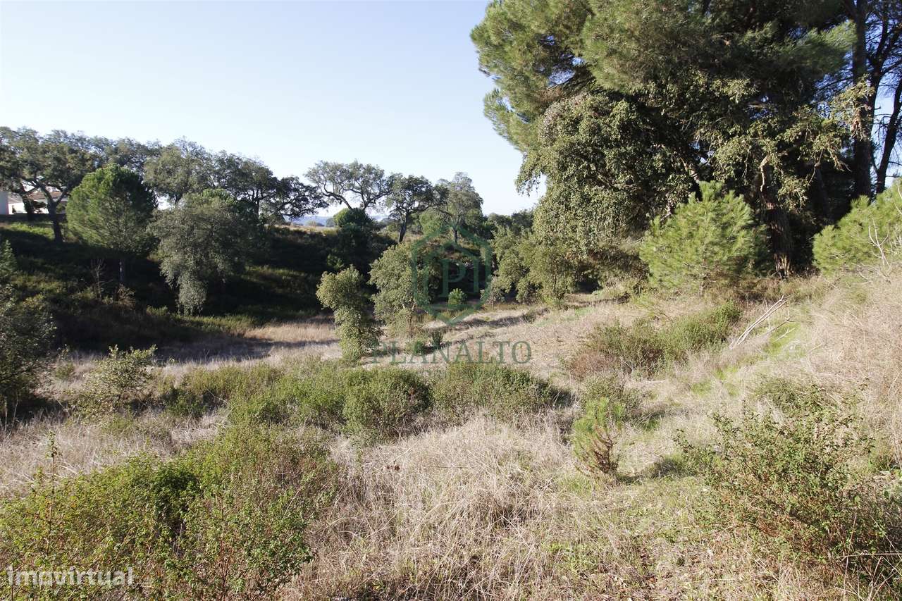 Terreno Rústico  Venda em Mora,Mora-6