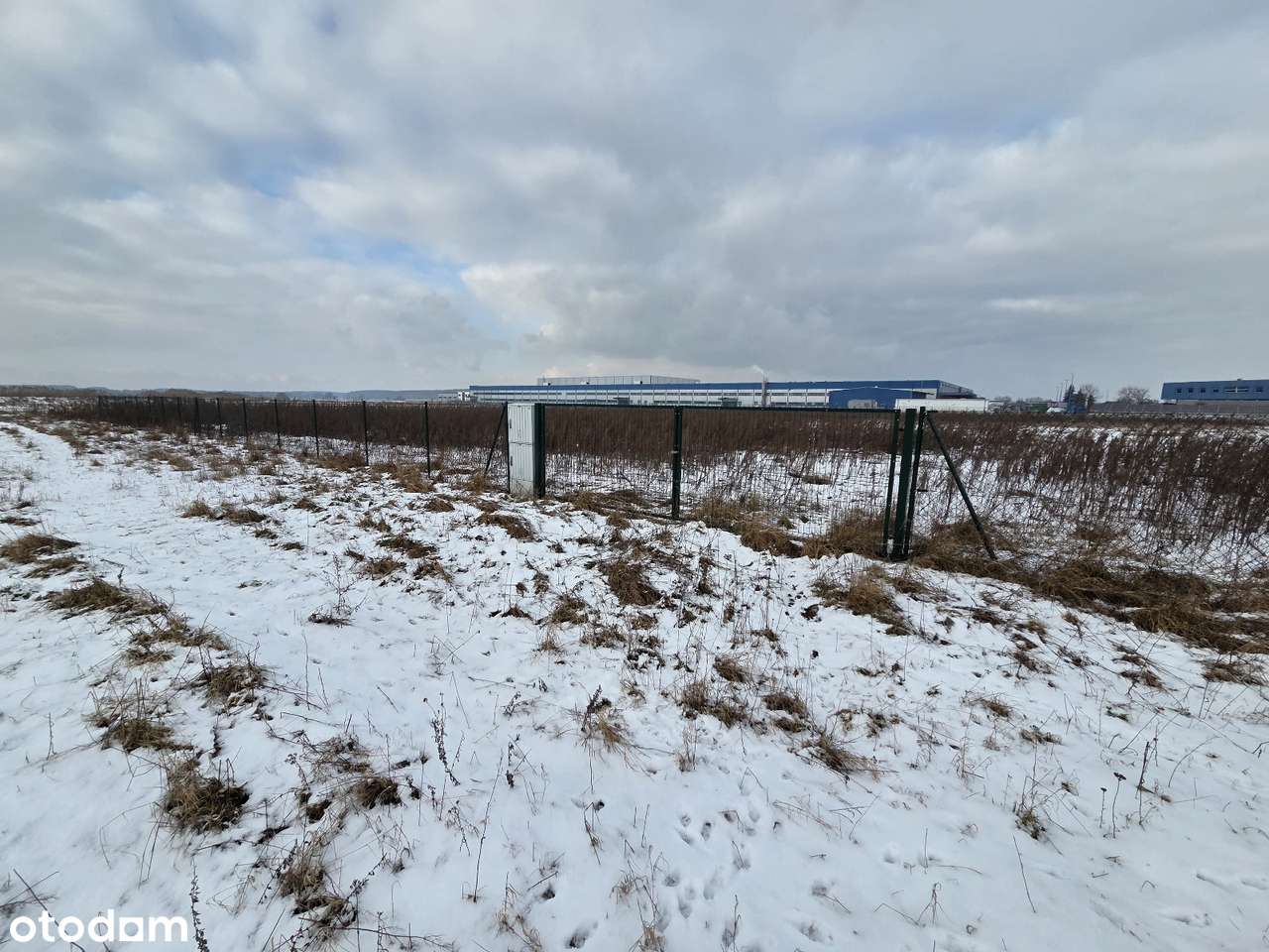 GRUNT INWESTYCYJNY na strefie przemysłowej - Kłoda, ul. Produkcyjna-2