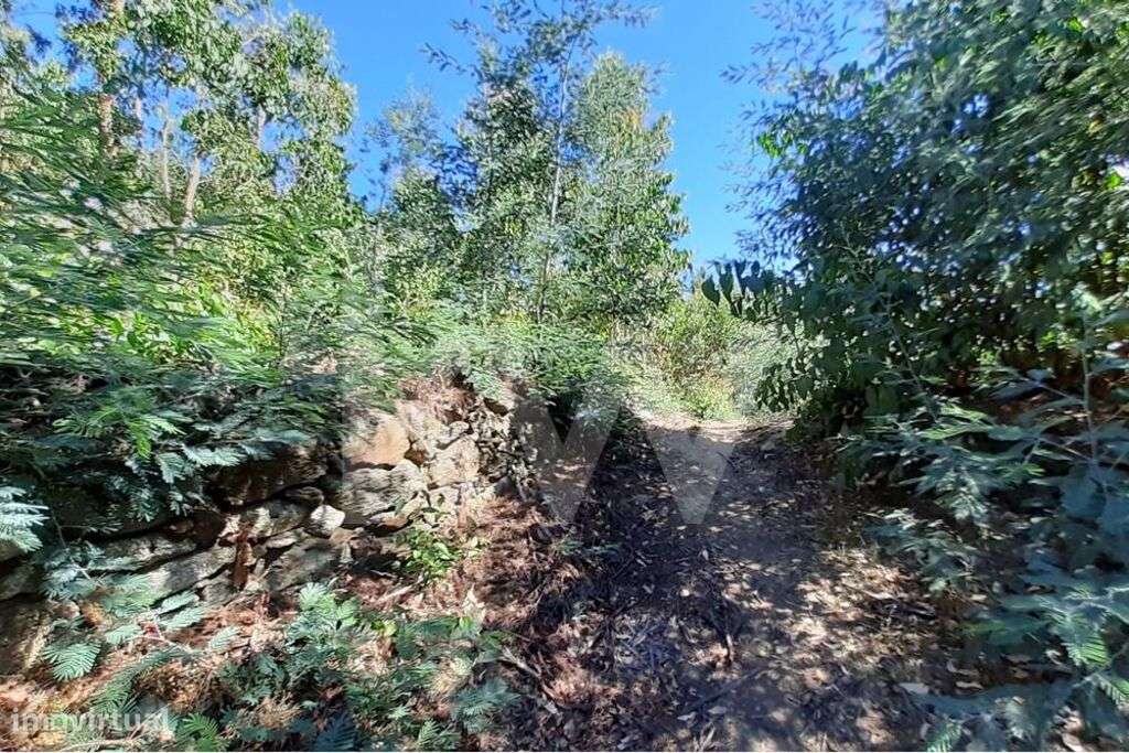 Terreno em Vila Nova de Cerveira com PIP Favorável para Espaço Turísti - Grande imagem: 3/14