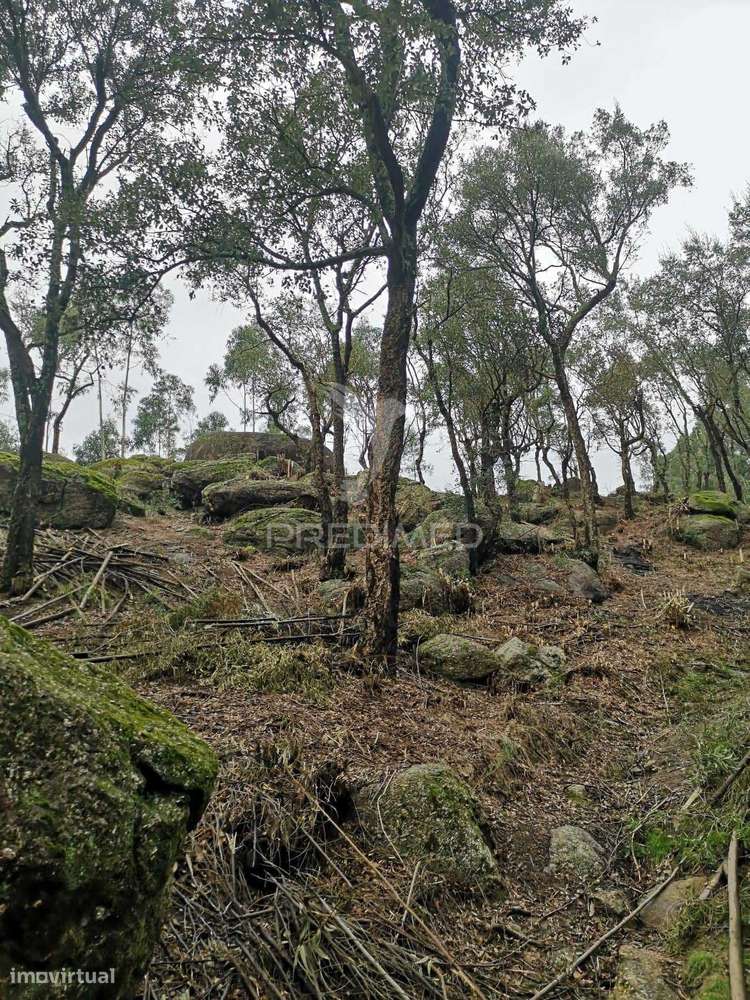 Terreno com localização privilegiada - Grande imagem: 4/8