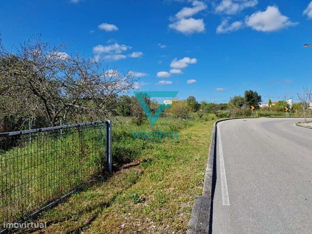 Terreno para construção em Cantanhede com 2.775 m2 - Grande imagem: 4/5