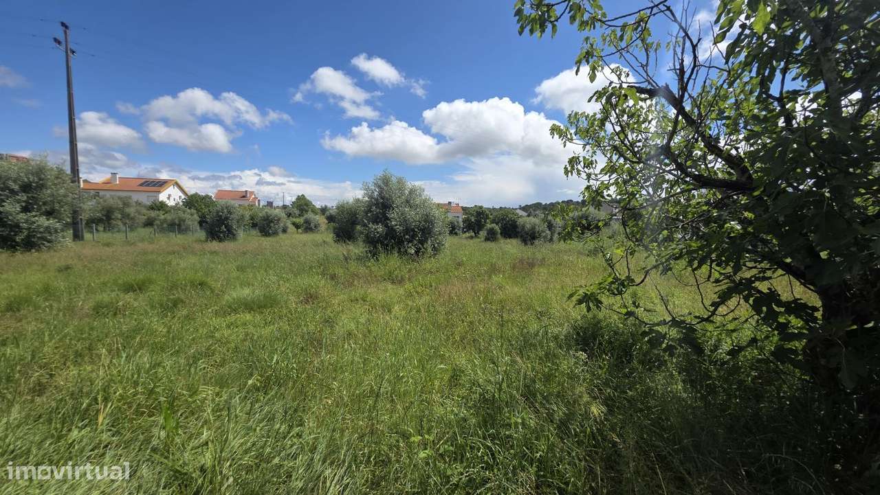 Excelente Terreno para Moradia a 5 kms de Tomar-15