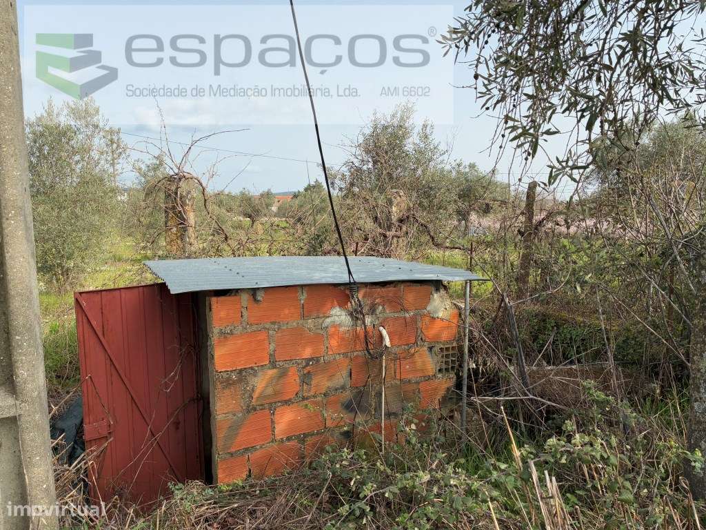 Magnifica Quinta - Grande imagem: 5/46