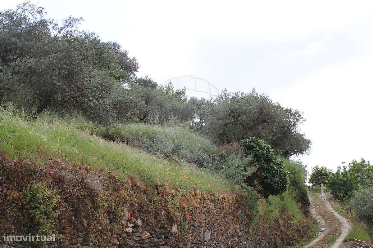 Terreno  para venda - Grande imagem: 4/10