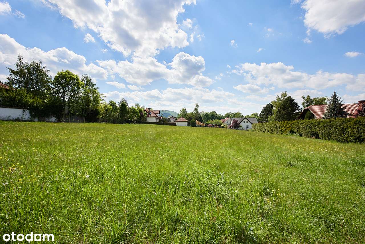 Działka, 4 702 m², Jaworze-9