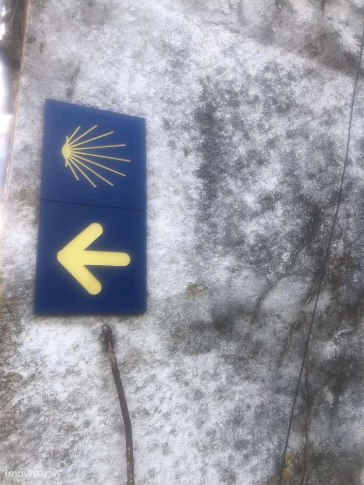 Casa de campo - 6 km do Rio Douro - Régua-16