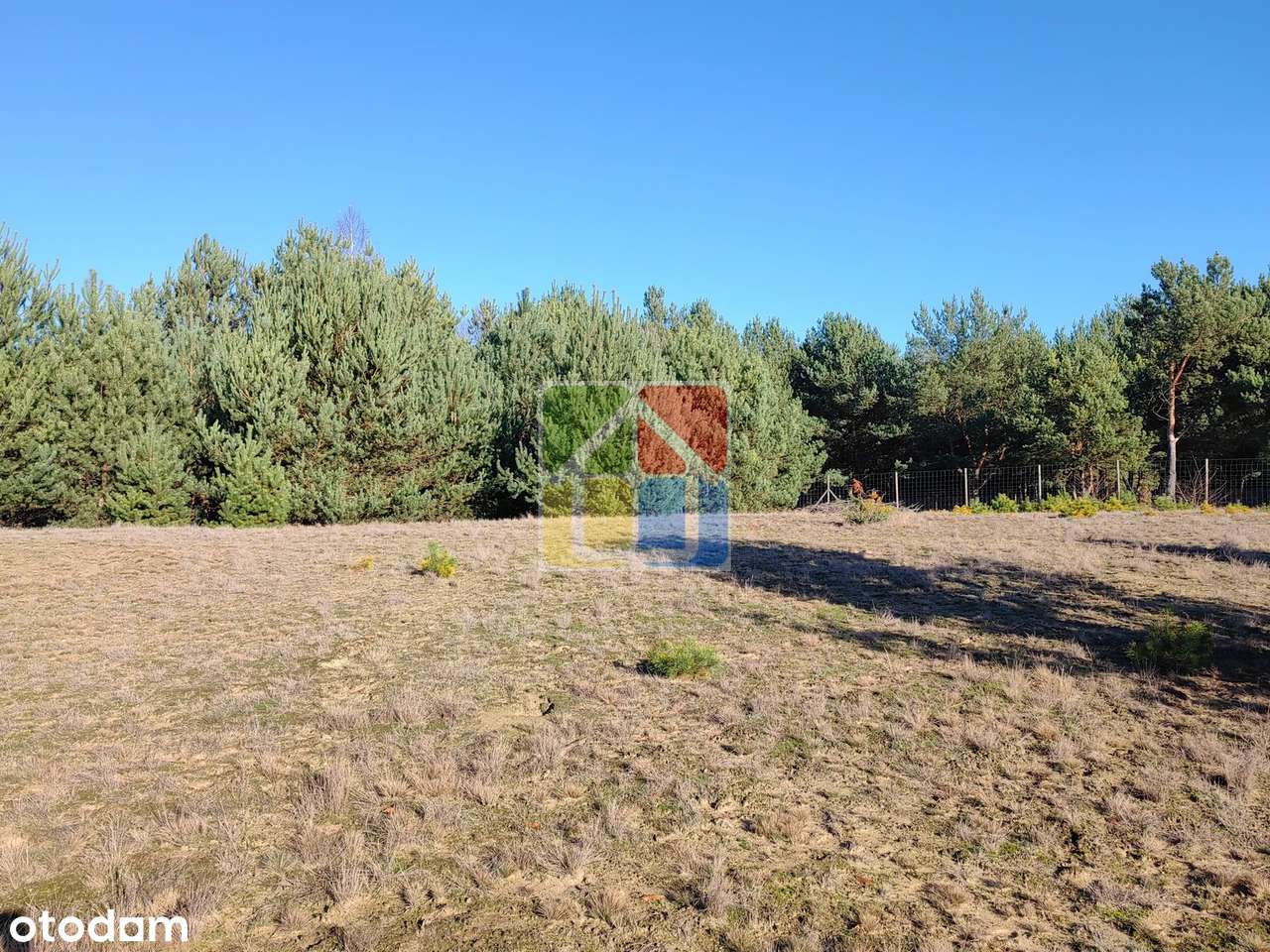Duża działka z widokiem na jezioro-8