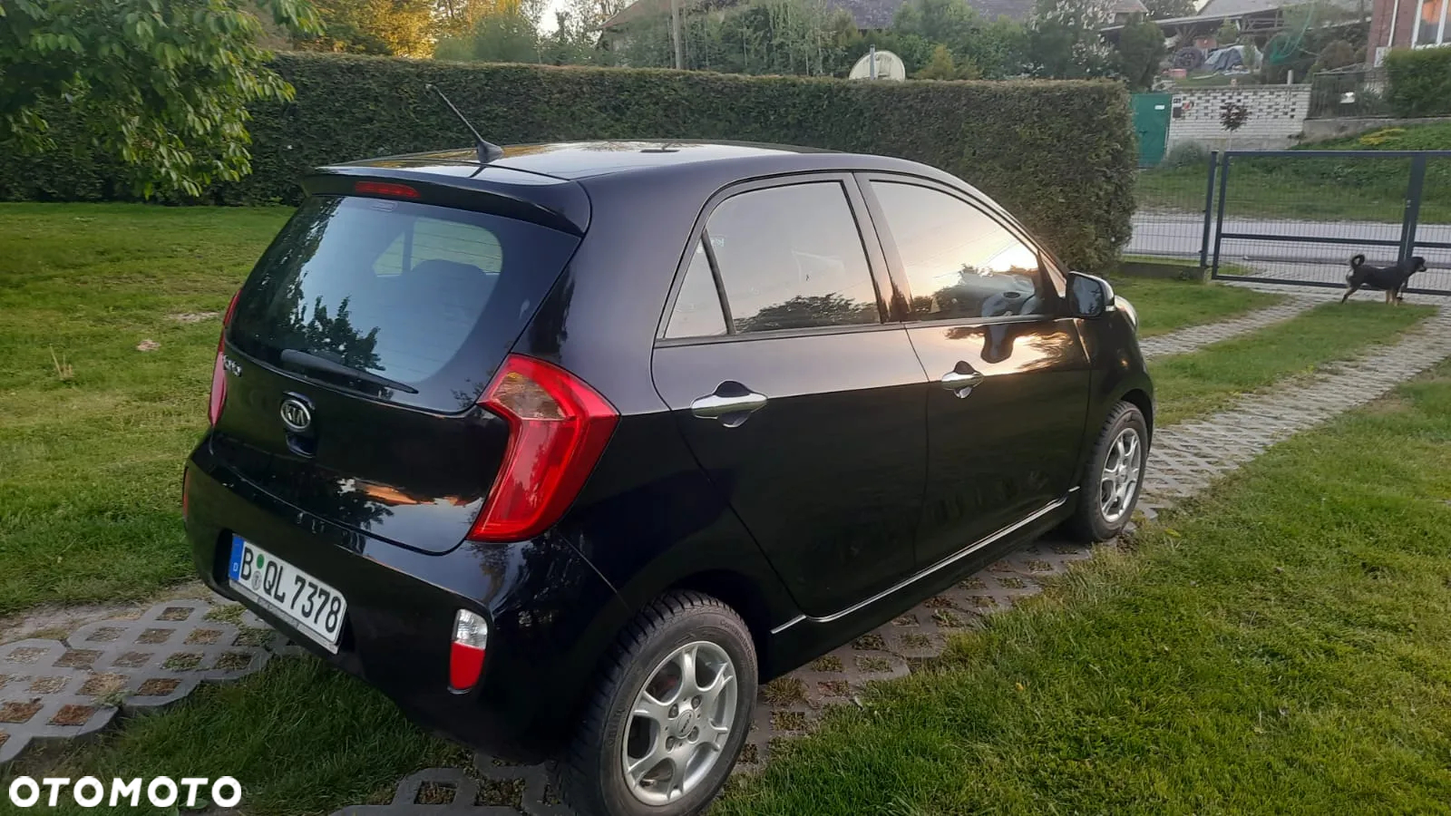 Kia Picanto 1.0 Dream-Team Edition - 8