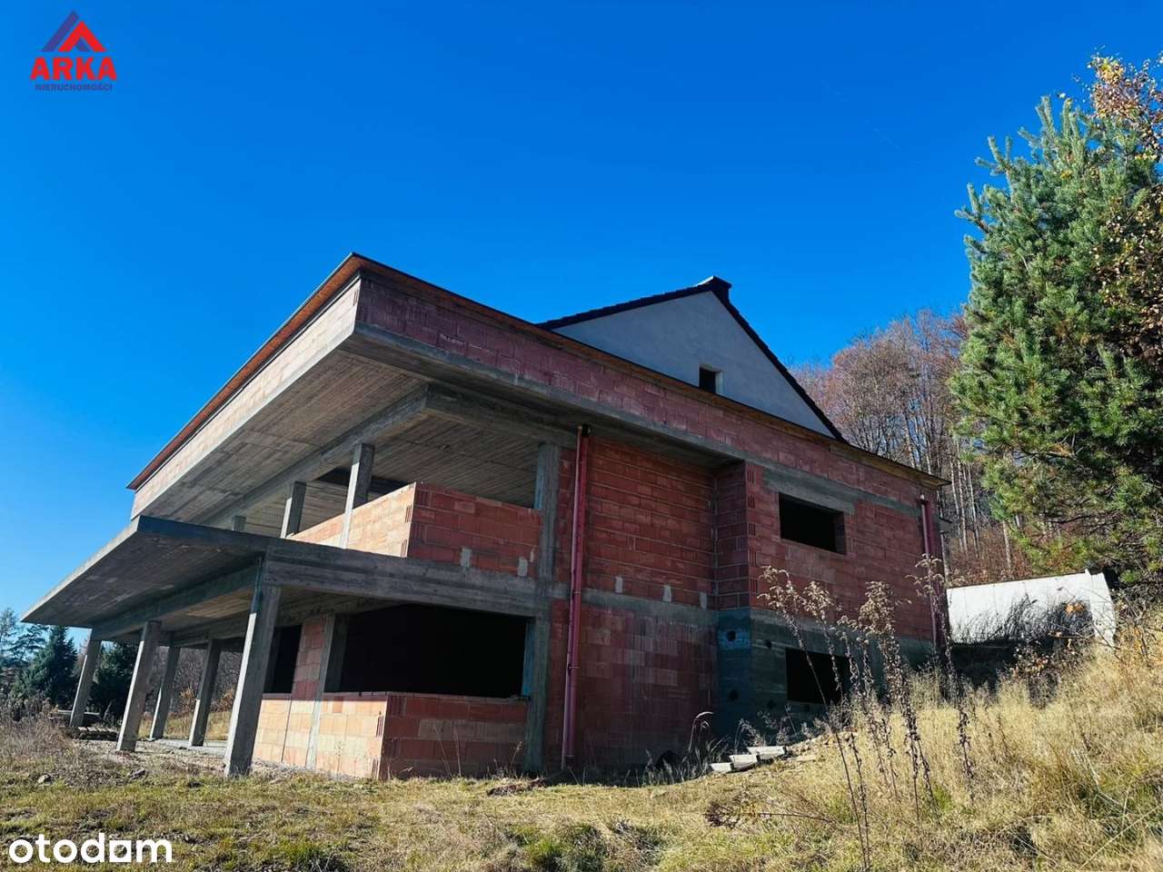Las za plecami | Widok na Tatry - Pełny obrazek: 5/20