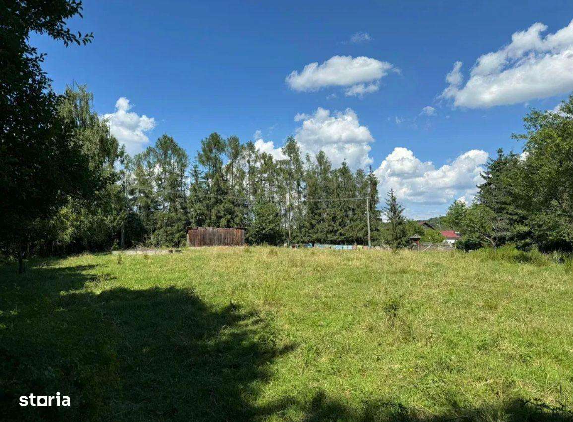 Teren intravilan de 5.755 mp în Doboeș, Sighetu Marmației-7