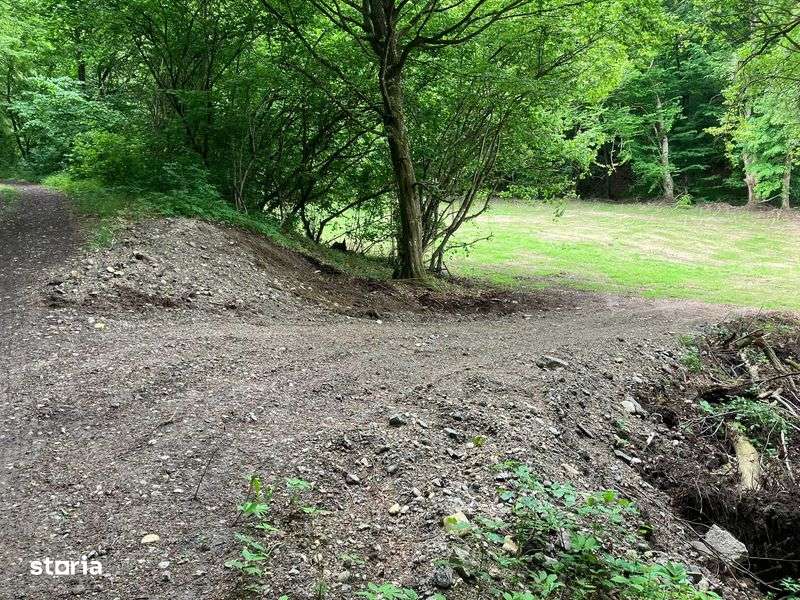 De vanzare Poienita - Imagine principală: 4/5