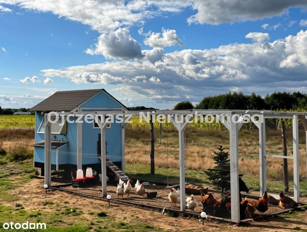 Klimatyczny dom wśród jezior i lasów | Kornelin-11