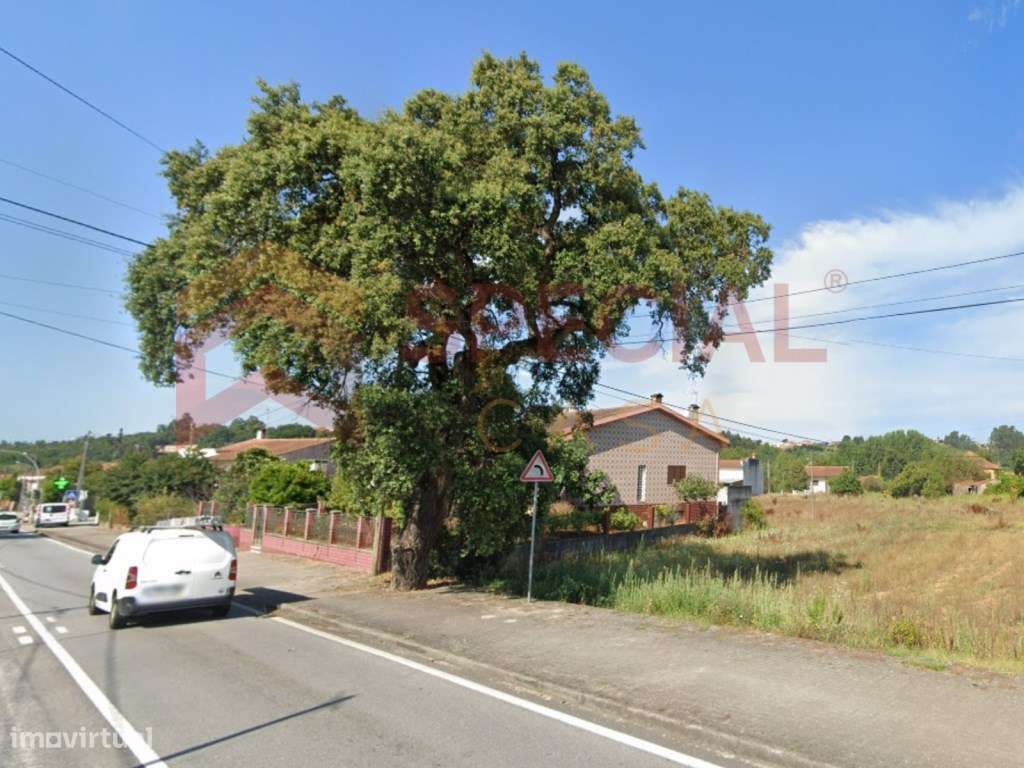 Terreno para construção com 5.000m2 em Anadia, Aveiro-6