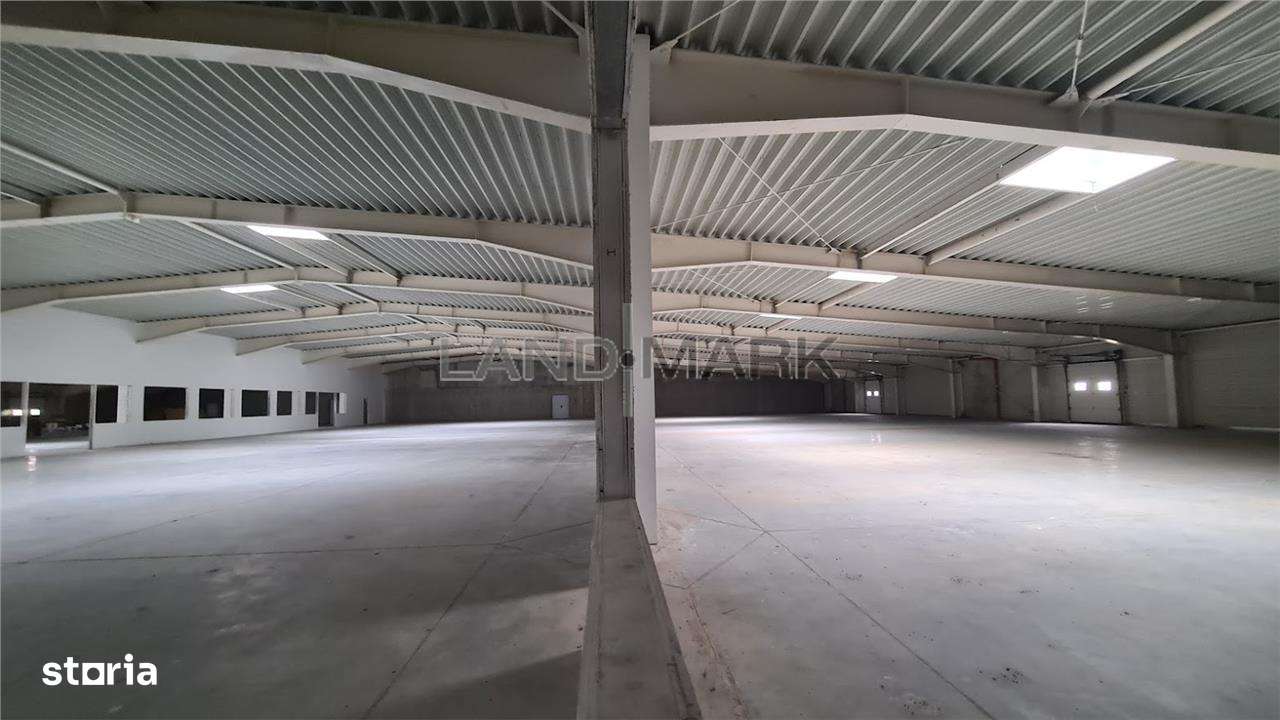 Hala productie de vanzare Timisoara - Exterior Nord-5