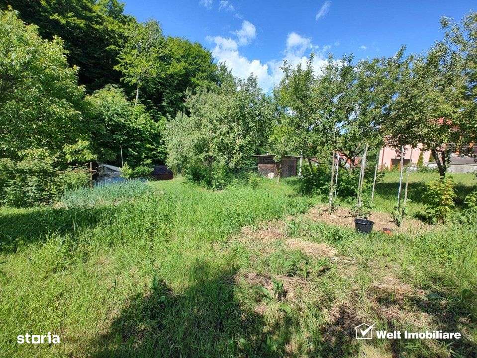 Oaza ta de liniste si verdeata, teren Faget cu parau in curte - Imagine principală: 5/6