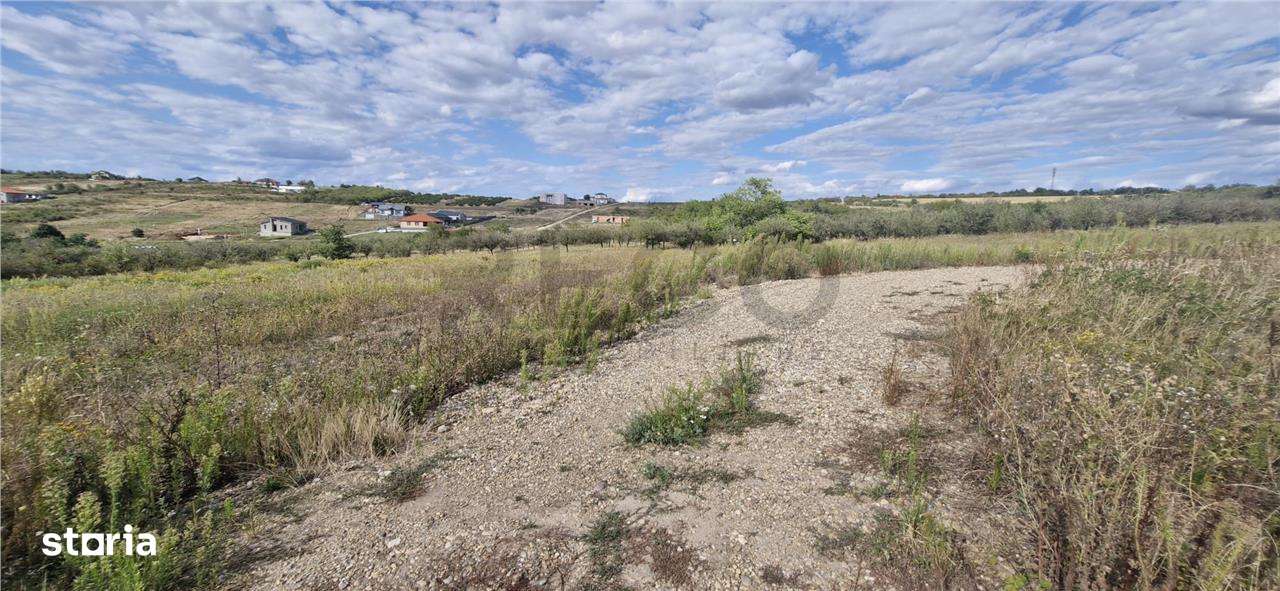 RECO Teren  intravilan in Saldabagiu de Munte - Imagine principală: 4/7