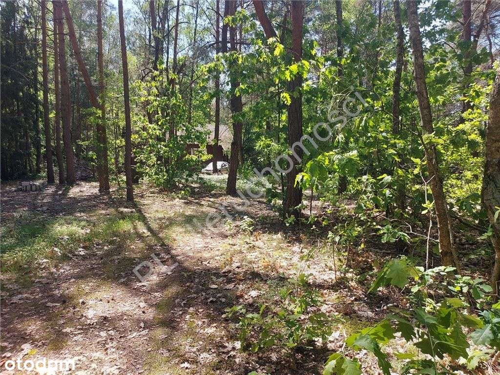 Działka budowlana..dom..dostęp do rzeki "Mienia".. - Pełny obrazek: 5/20