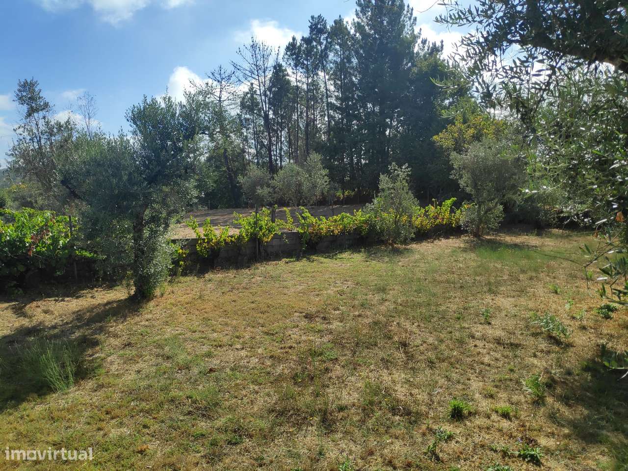 Excelente Terreno para Construção - Grande imagem: 4/12