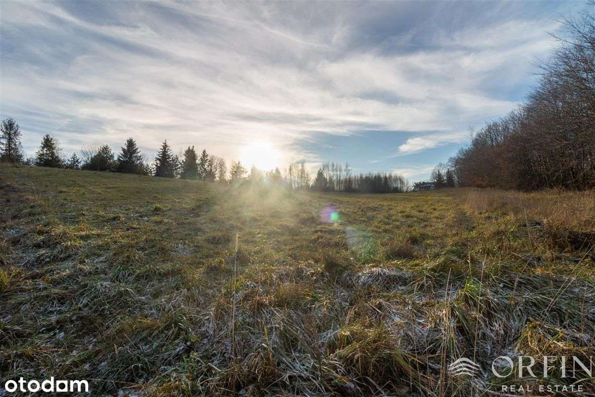 Łapino Kartuskie działka blisko jeziora i Gdańska - Pełny obrazek: 4/7