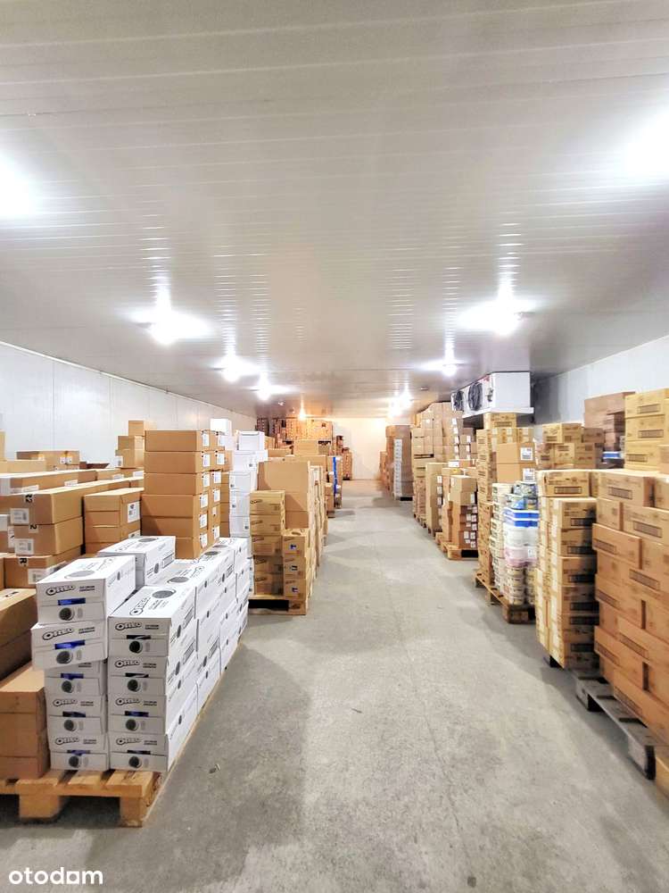 MAGAZYN CHŁODNIA MROŹNIA - Pełny obrazek: 4/4