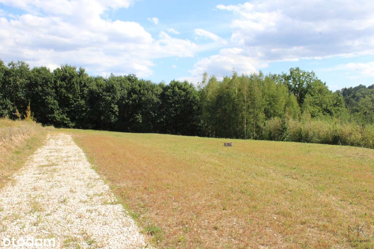 Kobylec, gmina Łapanów – działka budowlana z własnym stawem.-11