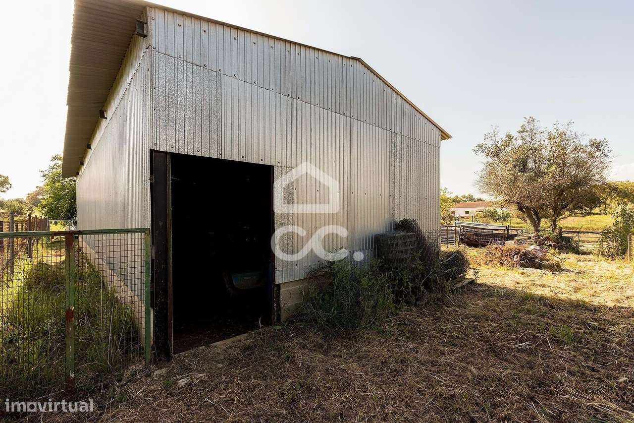 Quinta de 9250m2 c/ Moradia T4 térrea, anexo e armazém | Azaruja-29