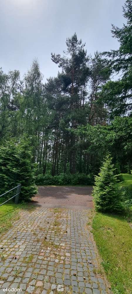 Atrakcyjny teren pod 15 bliźniaków wkomponowanych wśród drzew-18