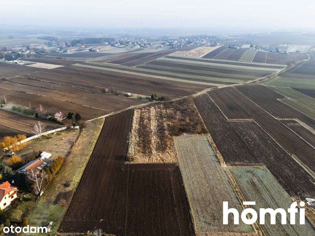 44 arowa działka w Krakowie - Pełny obrazek: 5/12