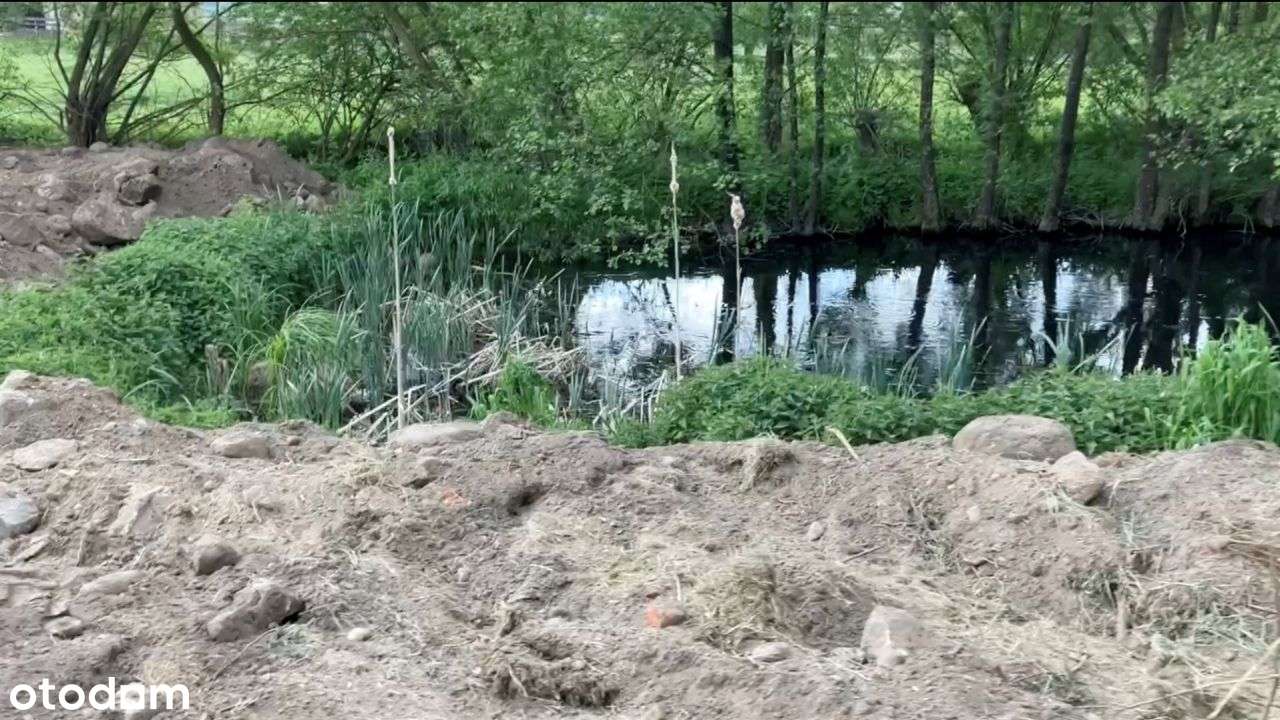 Budowlana 2763 m² ze stawem, Zalesie, Biała Piska-6