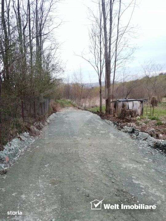 Teren intravilan, 1000 mp, Ciurila - Imagine principală: 4/6