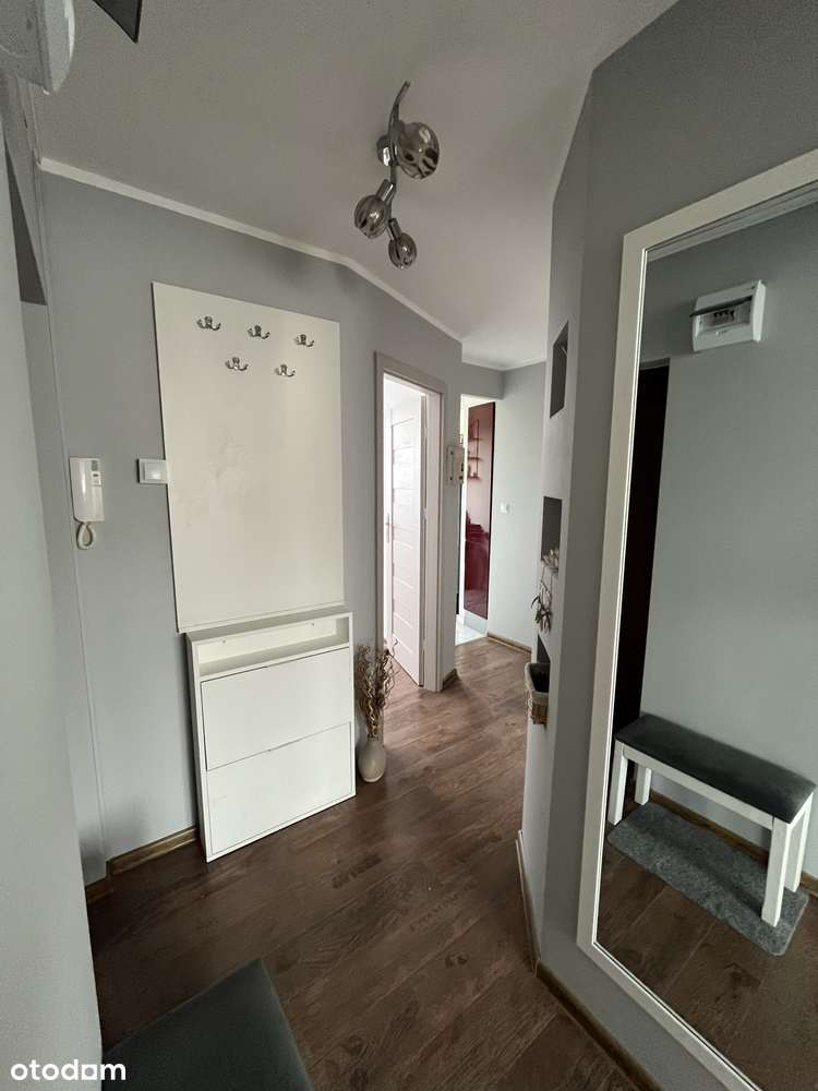 Mieszkanie 3 Pokoje Umeblowane Legnica Kopernik Bezpośrednio - Pełny obrazek: 5/15