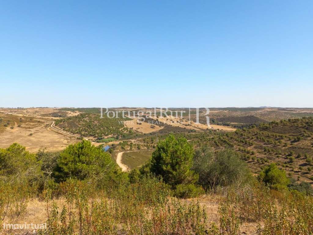 Herdade com 121 hectares e Monte Habitável - Mértola - Grande imagem: 4/29