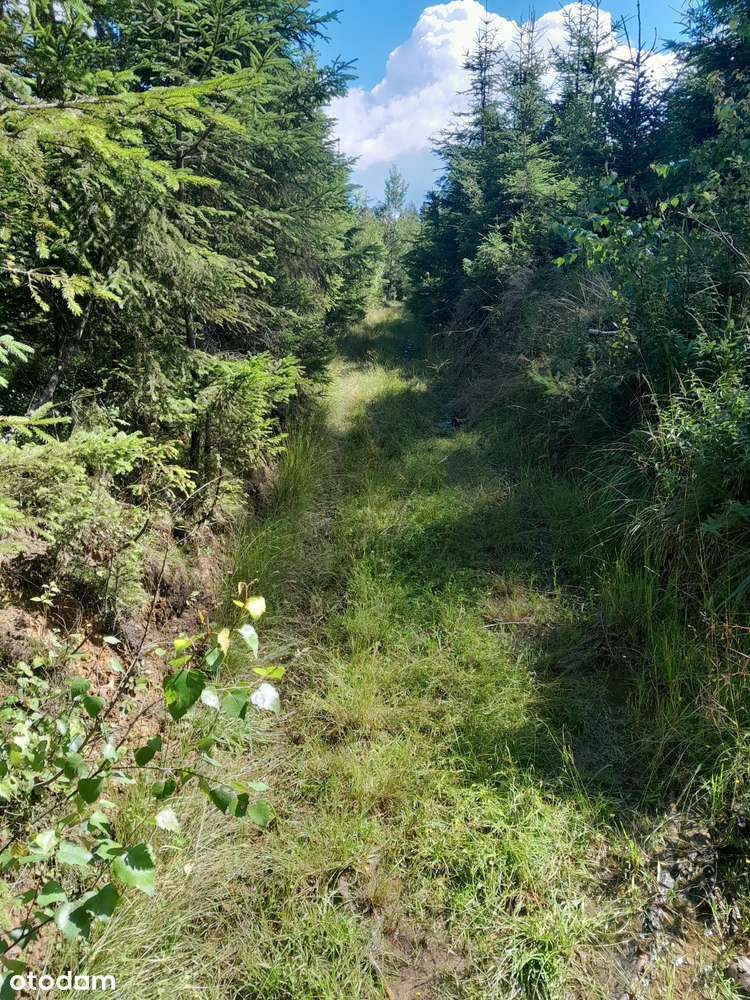 Działka budowlana, 1134 m2, Jaworzynka - Pełny obrazek: 4/7