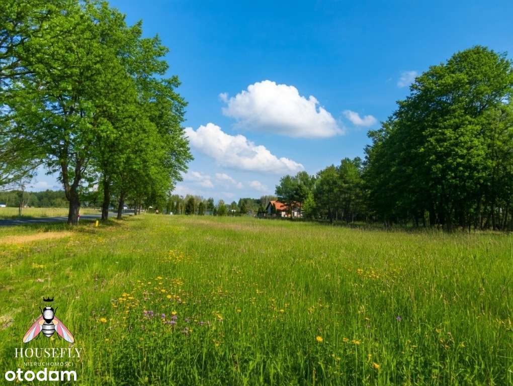 Działka Radzyń-3