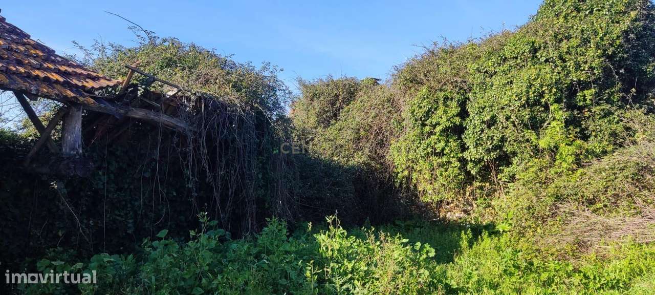 Terreno, 120 m², Mealhada, Ventosa do Bairro e Antes - Grande imagem: 4/6