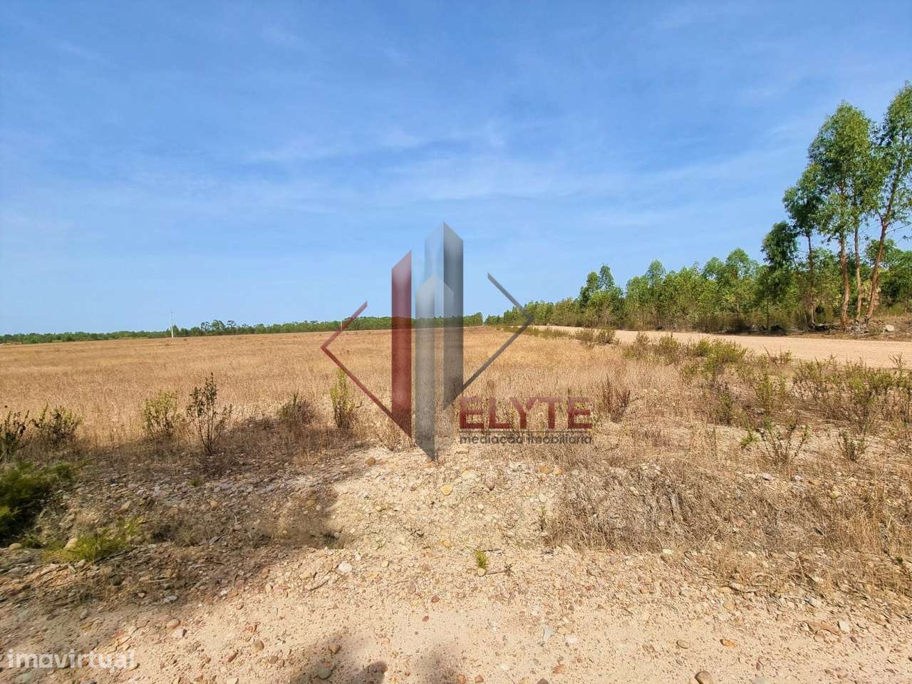 Terreno em Gloria do Ribatejo com 13ha-5