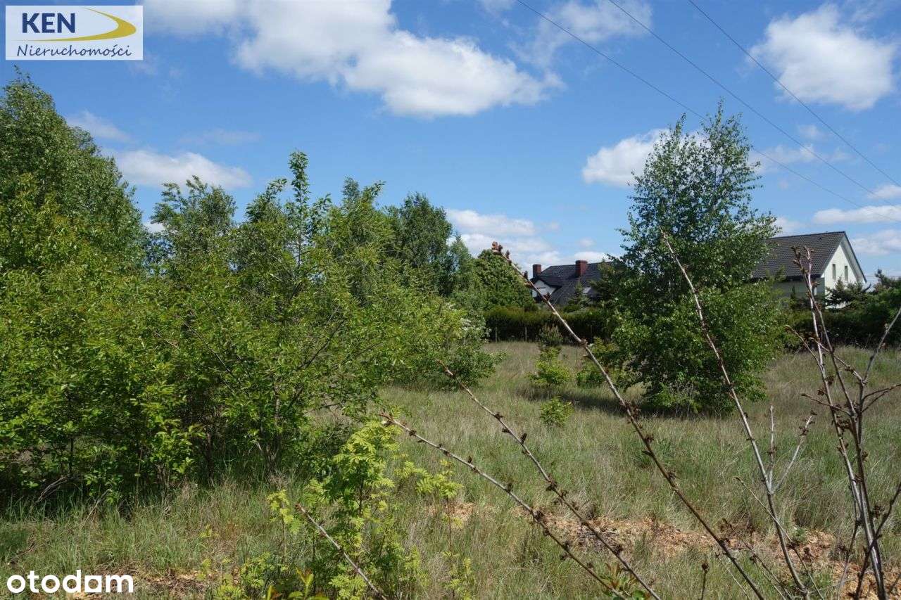 Dzialka z Wz, 1347 m2 w Łochowie - Pełny obrazek: 5/11